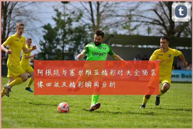 阿根廷与塞尔维亚精彩对决全场录像回放及精彩瞬间分析