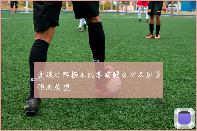 爱媛对阵枥木比赛前瞻分析及胜负预测展望