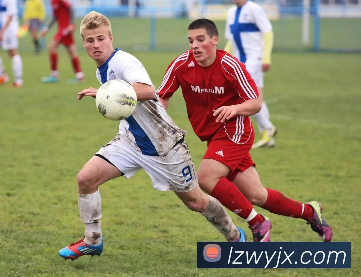 多媒体互动体验